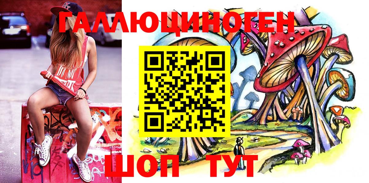 Галлюциногенные грибы Magic Shrooms  Псилоцибиновые грибы GOLDEN TEACHER  Звенигород  Вход с VPN 