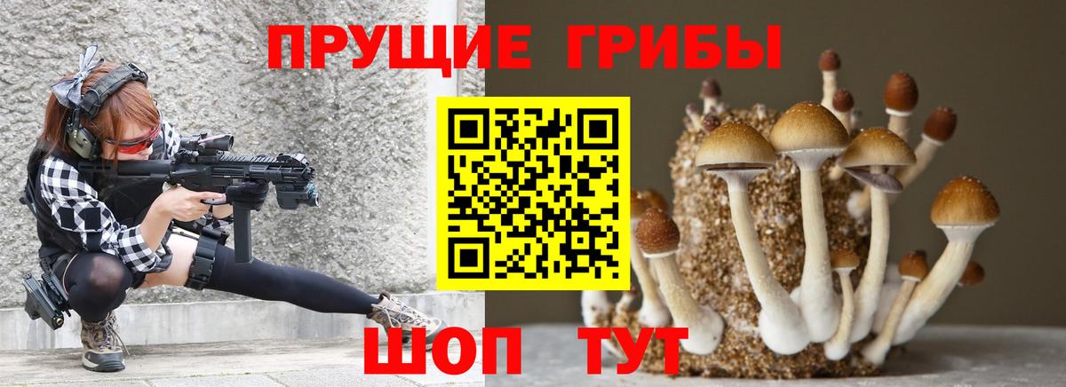Галлюциногенные грибы Magic Shrooms Звенигород