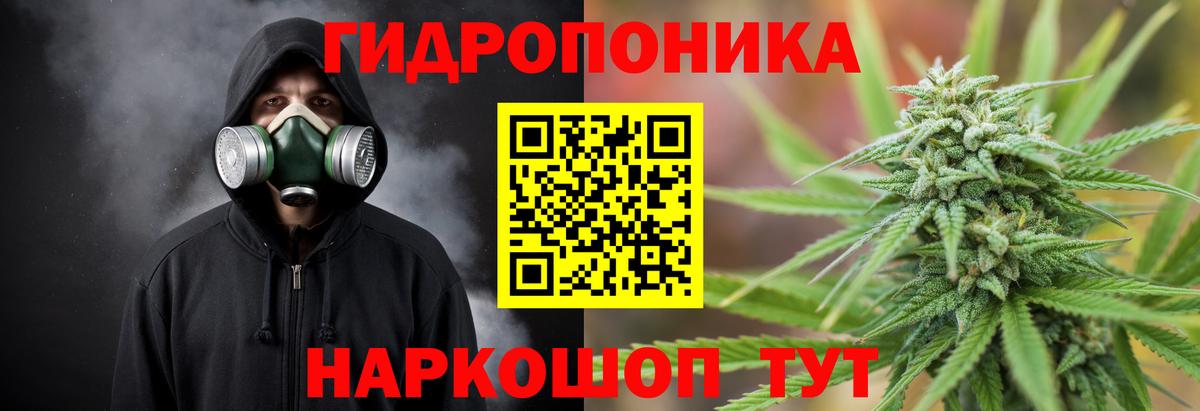 Звенигород  МАРИХУАНА индика  Конопля MAZAR  Вход с VPN  Марихуана ГИДРОПОН  Канабис White Widow 